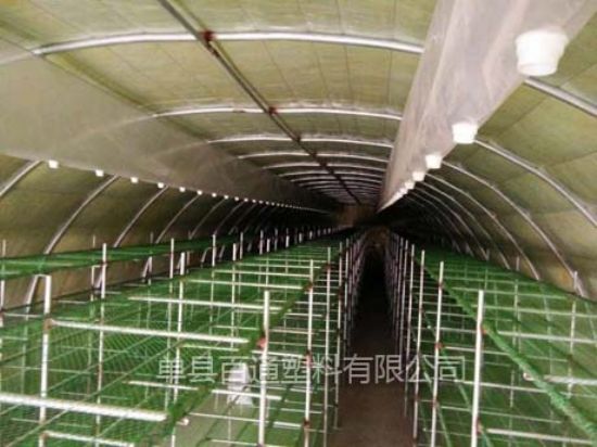 点击查看详细信息<br>标题：猪舍大棚 阅读次数：2019